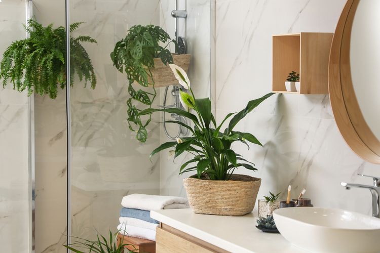 kamar mandi sederhana