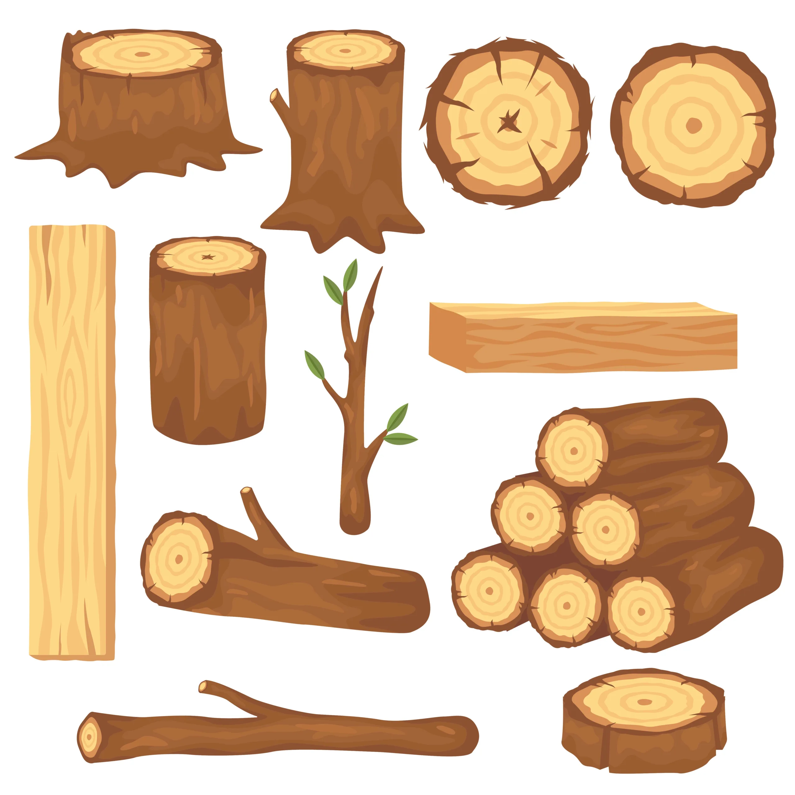 Variety of wood logs and trunks kayu jati